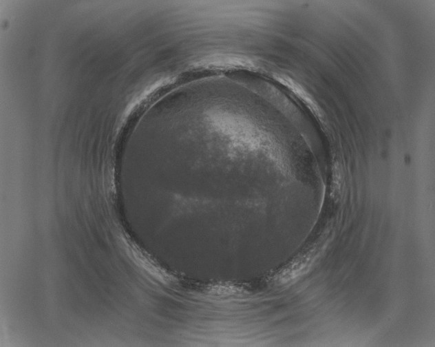 X0000068300399200604211143