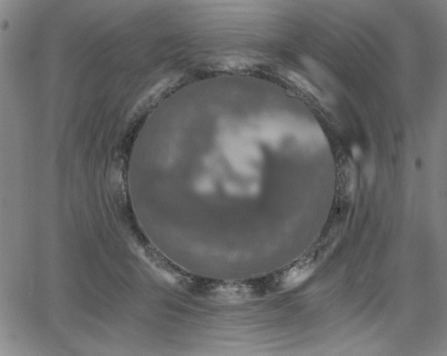 X0000068300415200604211143