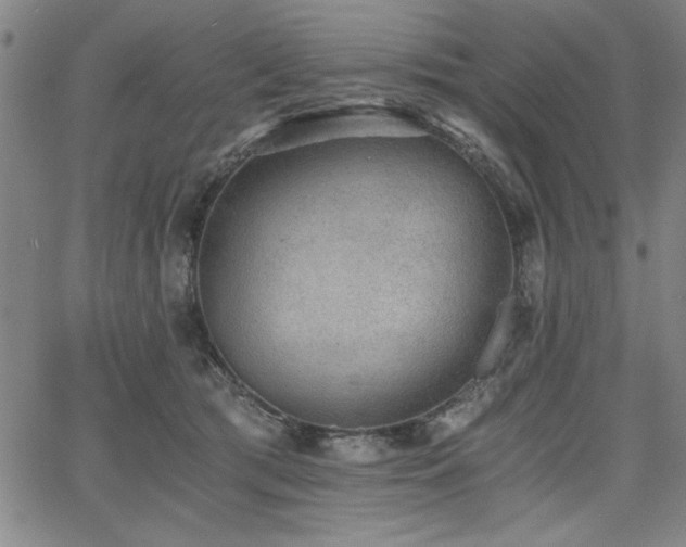 X0000068300417200604211143