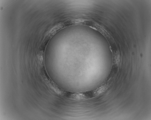 X0000068300427200604211143