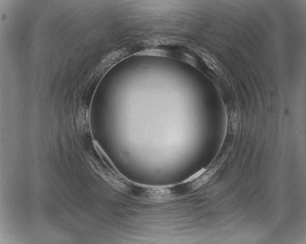 X0000068300429200604211143