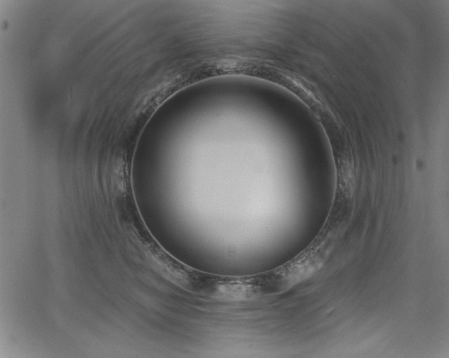 X0000068300470200604211142