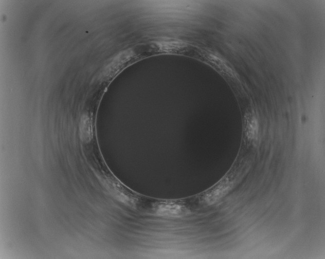 X0000068300471200604211142