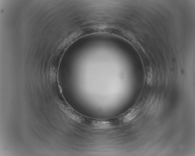 X0000068300476200604211143