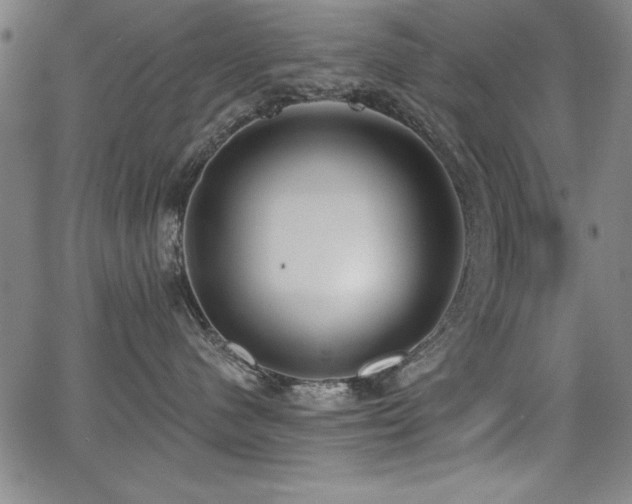 X0000068300480200604211143