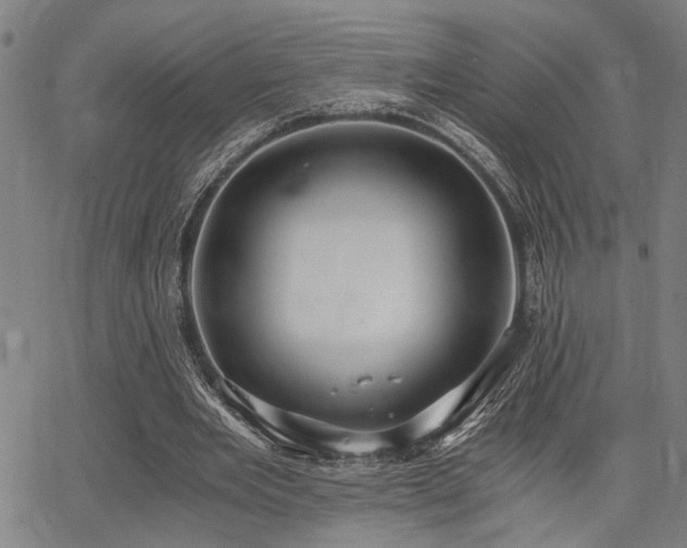 X0000068300485200604211142