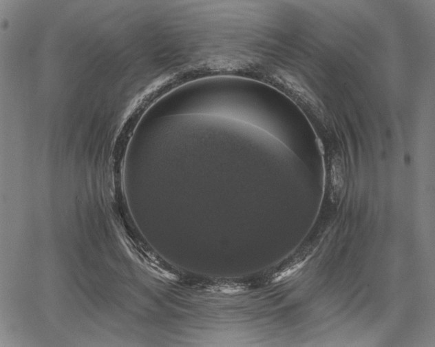 X0000068300492200604211142