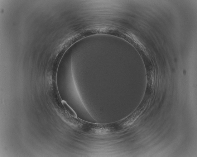 X0000068300500200604211142