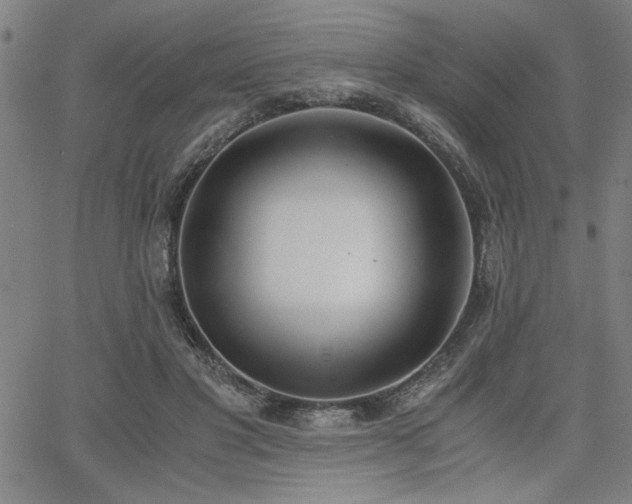 X0000068300501200604211142