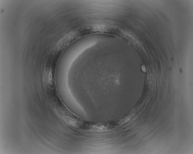 X0000068300502200604211142