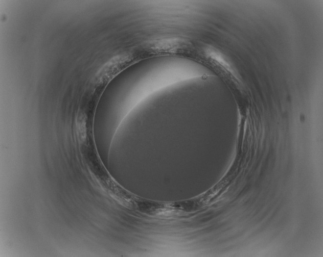 X0000068300504200604211141
