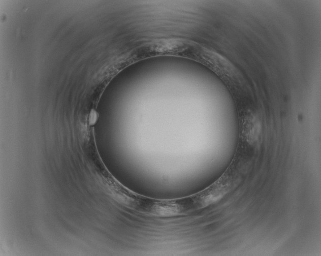 X0000068300510200604211141