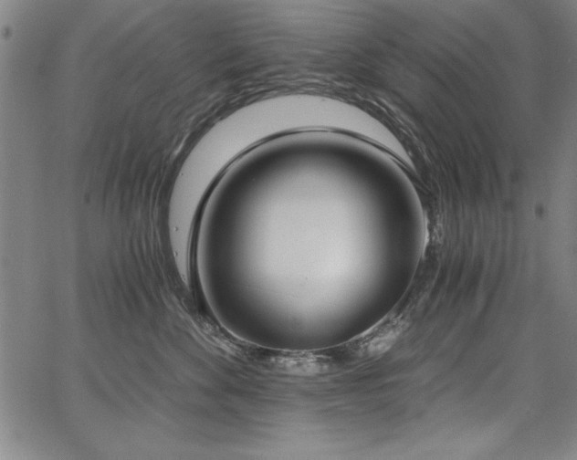 X0000068300524200604211141