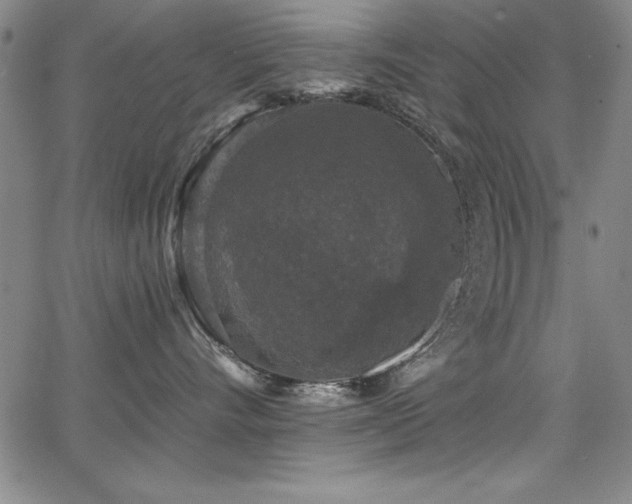 X0000068300528200604211141