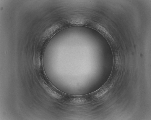 X0000068300541200604211140