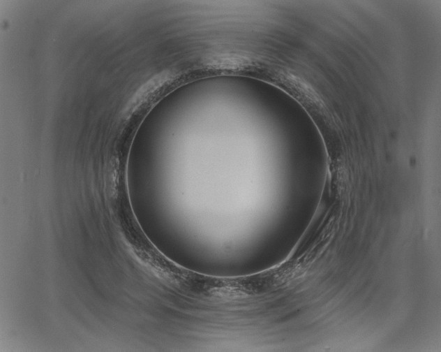 X0000068300544200604211140