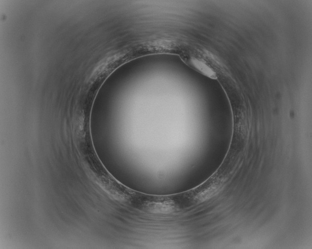 X0000068300548200604211141