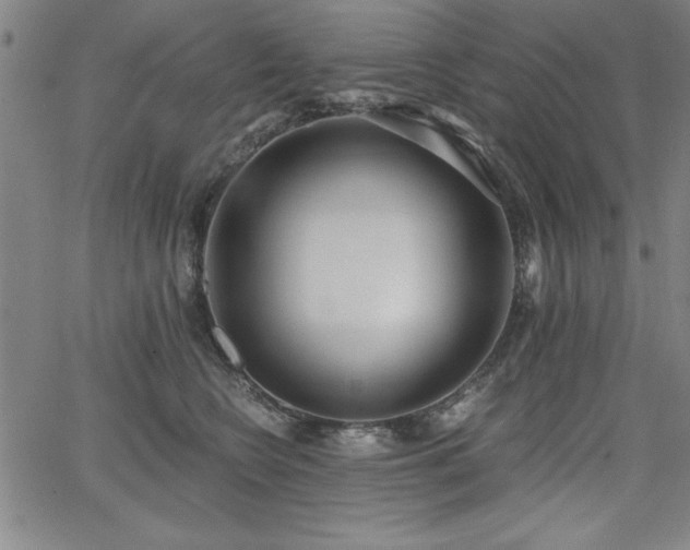X0000068300566200604211141