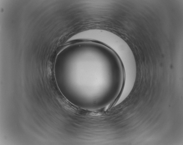 X0000068300570200604211141