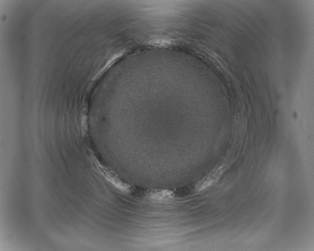 X0000068300576200604211141