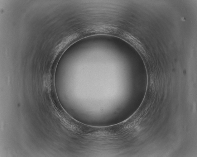 X0000068300578200604211140
