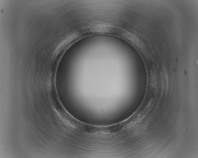 X0000068300586200604211140