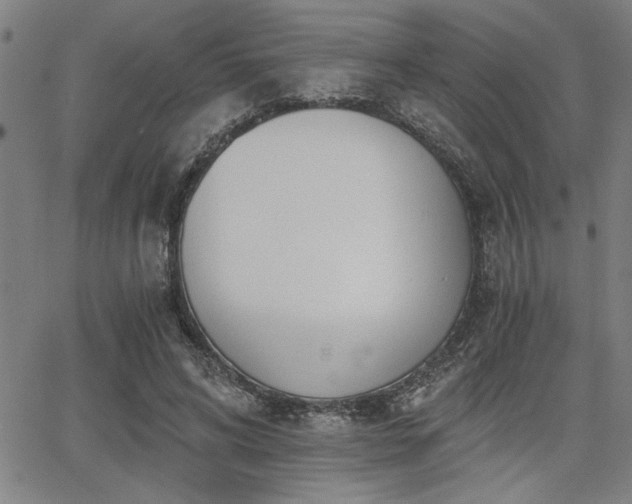 X0000068300592200604211140