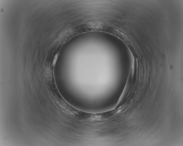 X0000068300609200604211140