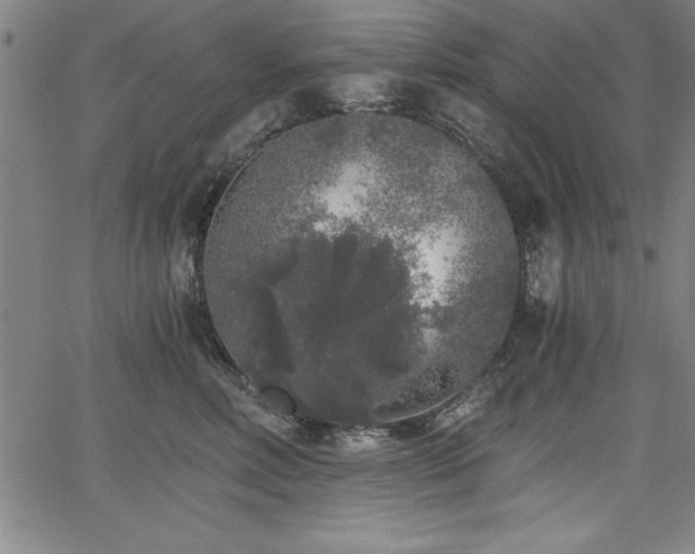 X0000068300618200604211139