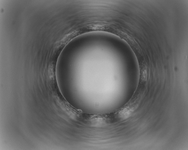 X0000068300620200604211139