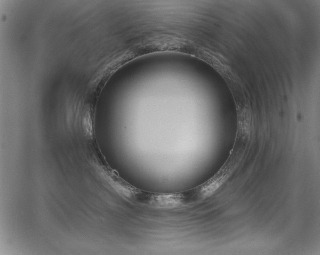 X0000068300622200604211139