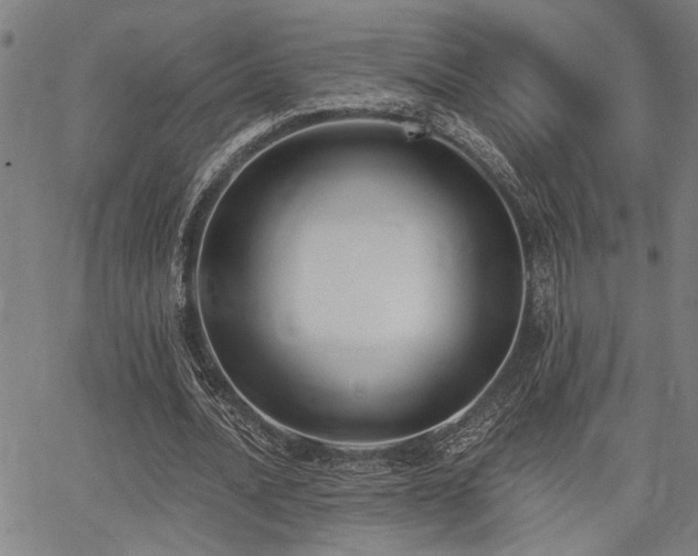 X0000068300628200604211139
