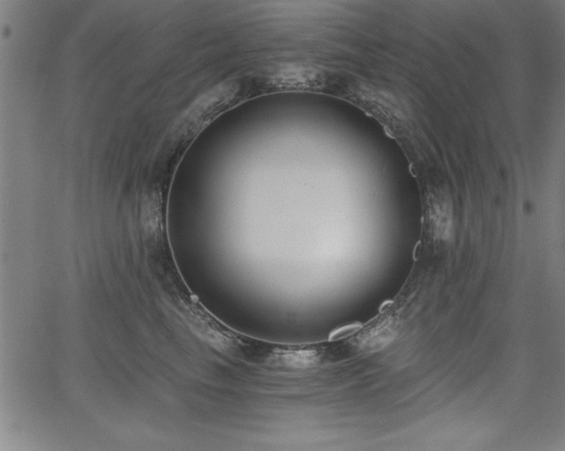 X0000068300665200604211139