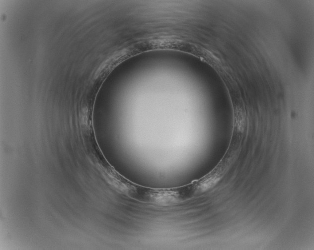 X0000068300670200604211139