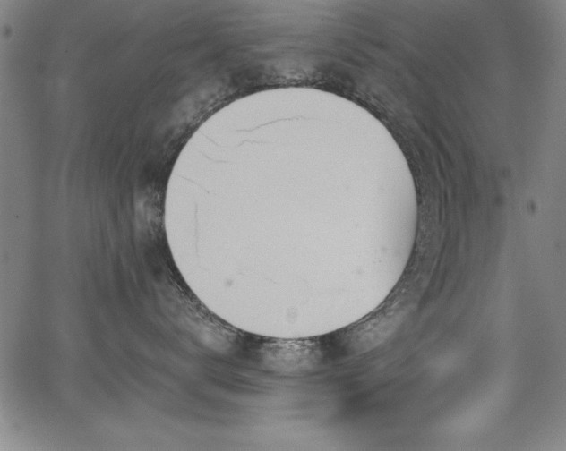 X0000068300672200604211139
