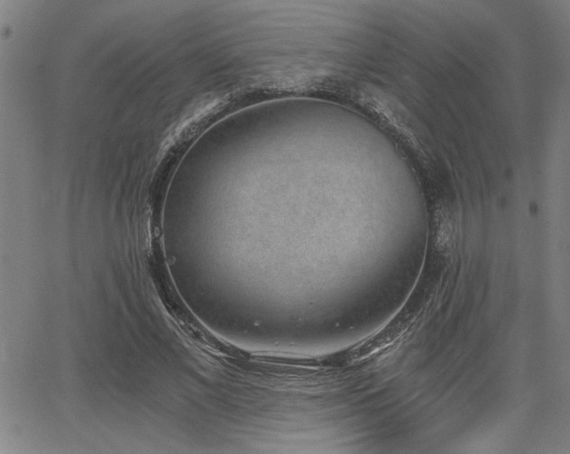X0000068300685200604211138