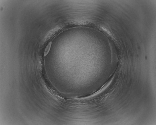 X0000068300688200604211138