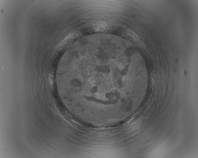X0000068300691200604211138