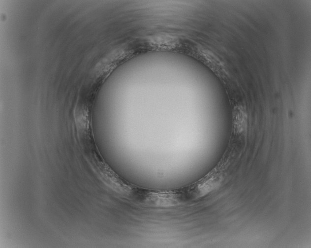 X0000068300713200604211138