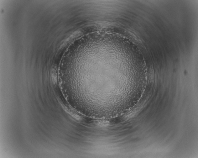 X0000068300719200604211138