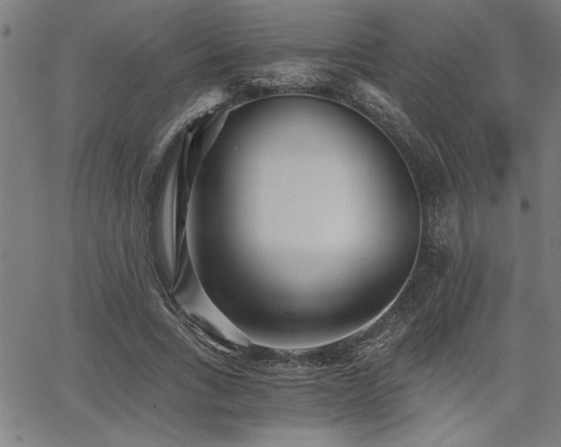 X0000068300735200604211137