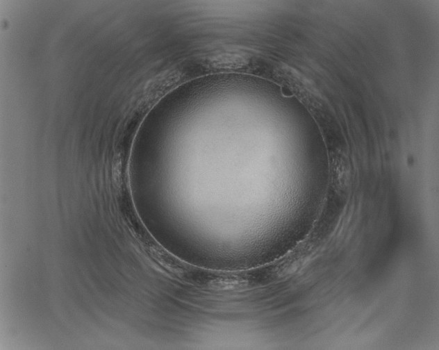 X0000068300745200604211137