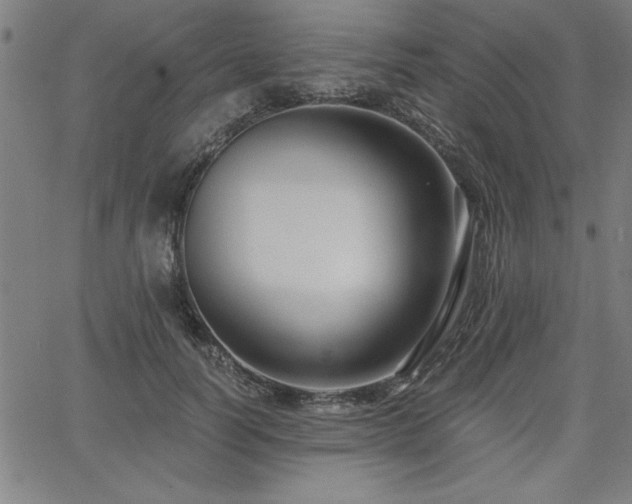 X0000068300746200604211137