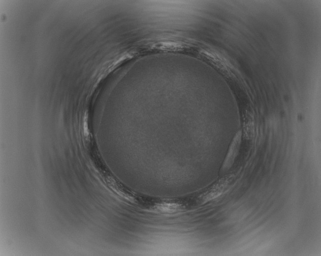 X0000068300748200604211137