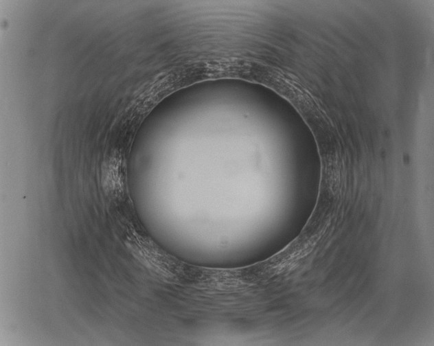 X0000068300770200604211137