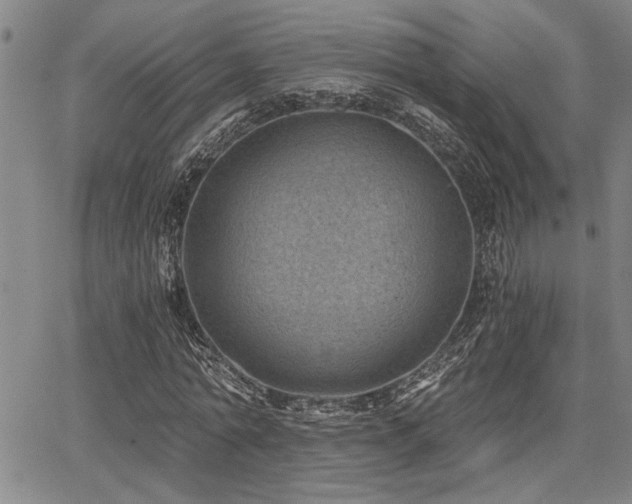 X0000068300774200604211137