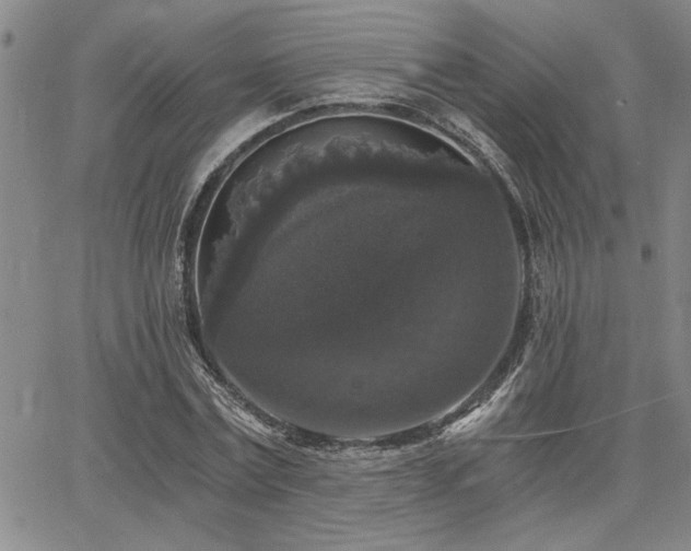 X0000068300779200604211137