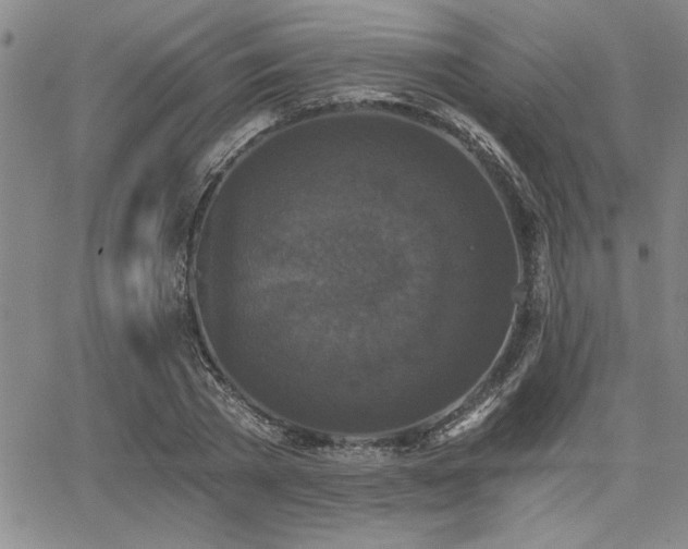 X0000068300785200604211137