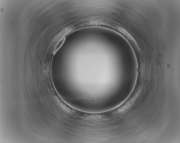 X0000068300801200604211137
