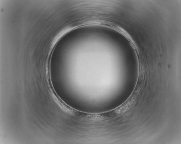 X0000068300811200604211136